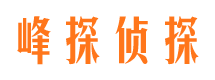 成安私人侦探